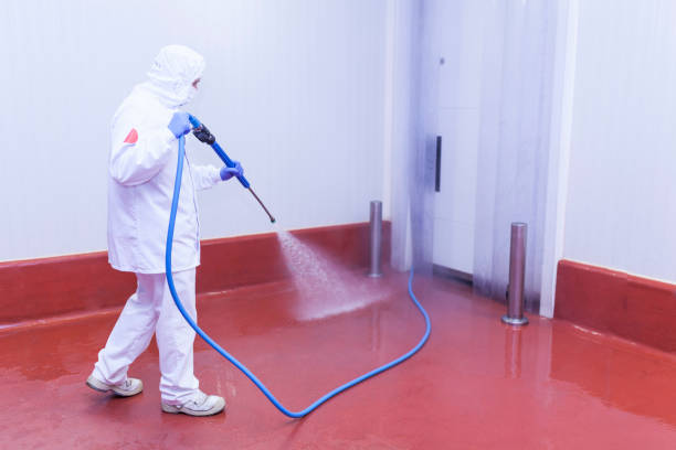 Best Oil Spill Cleanup  in East Ithaca, NY